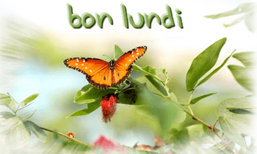 upload_2015-11-23_7-18-15.png