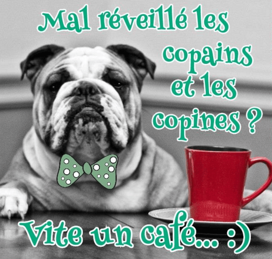 upload_2016-1-21_8-33-39.png