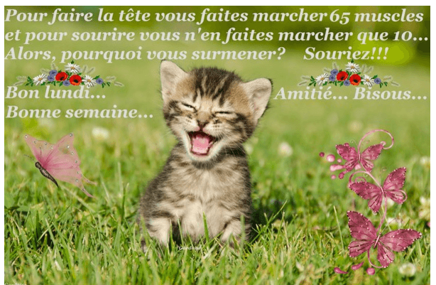 upload_2016-2-22_6-47-40.png