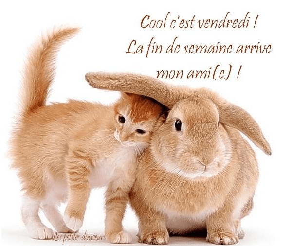 upload_2016-3-4_7-47-26.png
