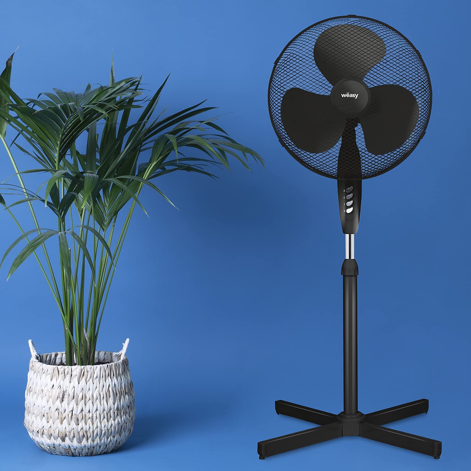 ventilateur.jpg