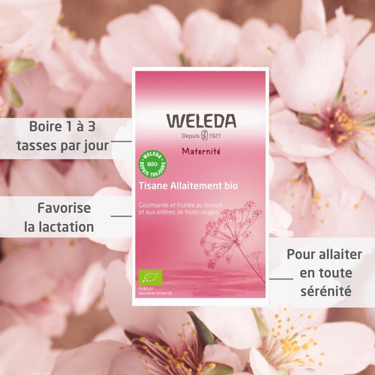 weleda.jpg