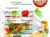 kit_salade_otto.jpg