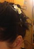 IMG_3116.JPG IMG_3116.JPG