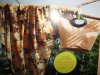 DSC00509.jpg