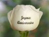 IMAGES ANNIVERSAIRE6.jpg