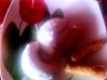 gateau11.jpg