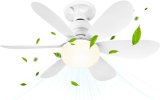 ventilateur-plafond-led-buzzoxerex-52cm.jpg