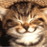 kiti