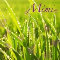 Mimitika2