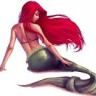 sirene56bis
