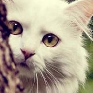 Mimie672