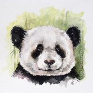 Pandipanda