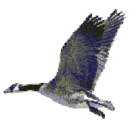 bidouille