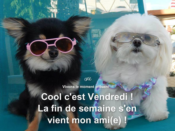 vendredi_019.jpg