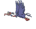 gif-oiseaux-12.gif
