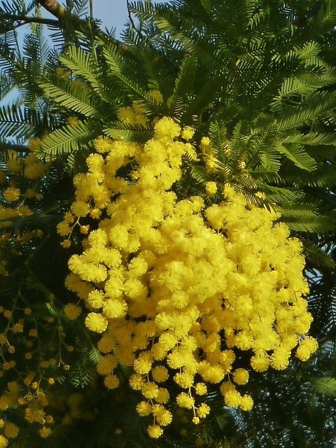 46f822b4.jpg
