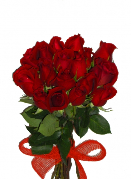 Bon Anniversaire Teresa