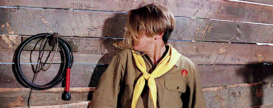 tumblr_p0pbf9evlV1s535xbo6_540.gif