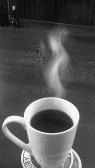 monophy.gif