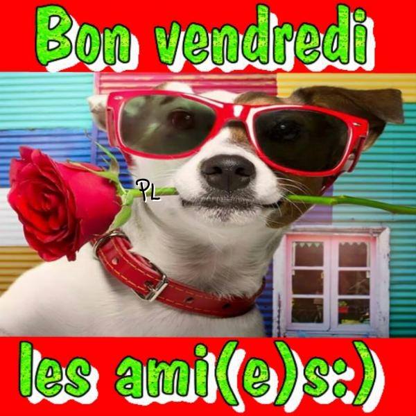 vendredi_104.jpg