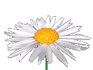 97060348_o.gif