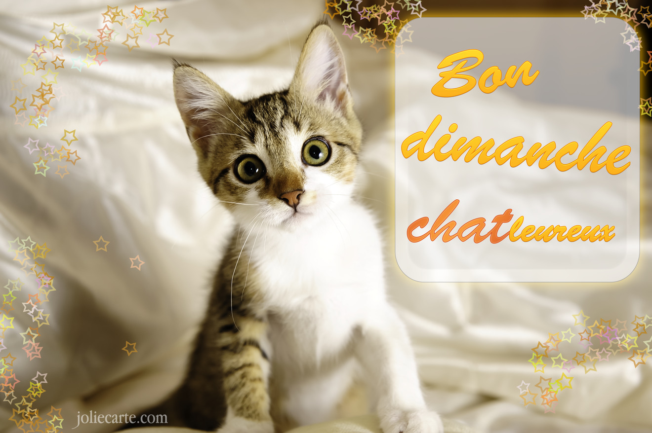 bon-dimanche.jpg