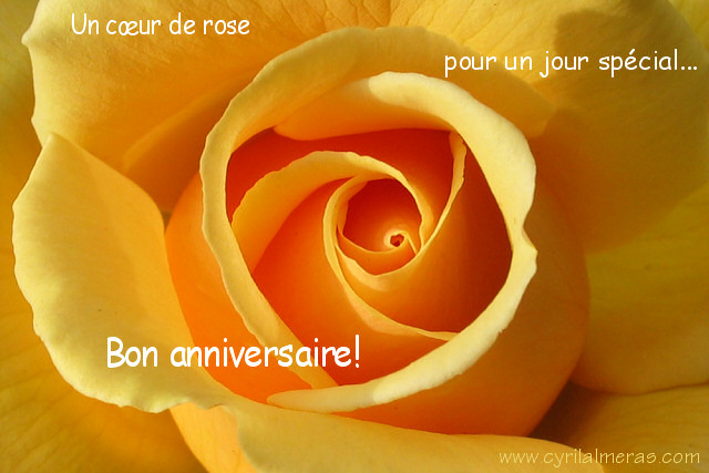 IMG_2317_carte_anniversaire_coeur_de_rose.jpg