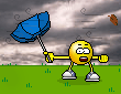 r444n904.gif