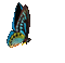 164836_1c384.gif