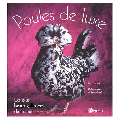 Poules%20de%20luxe-C195750-34,12$.jpg