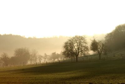 soleil-brouillard-grammont.jpg