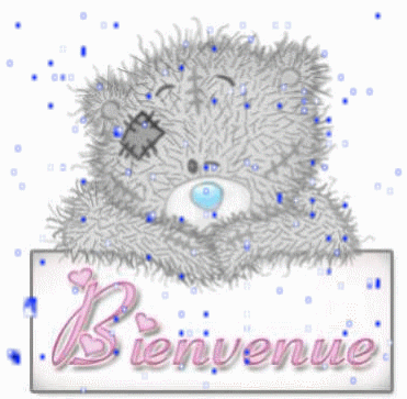 bienvenue-ours.gif