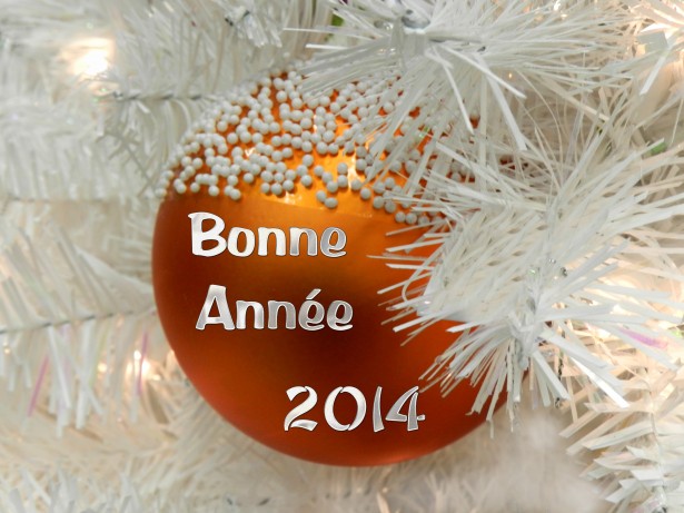 bonne-annee-2014-1.jpg