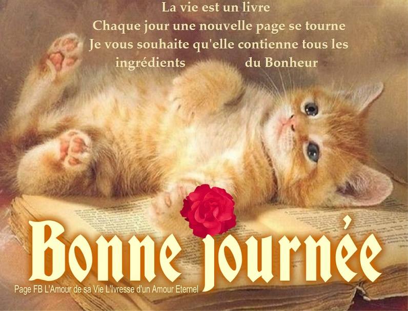 bonne-journee_048.jpg
