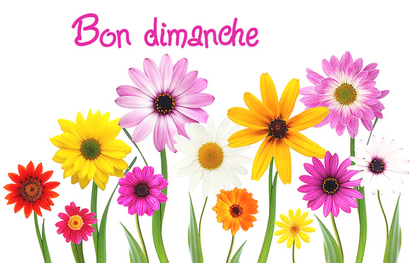 dimanche_001.jpg