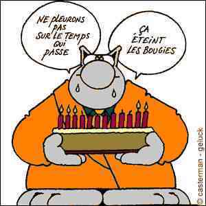 le-chat-gateau-anniversaire.jpg