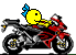 Moto02.gif