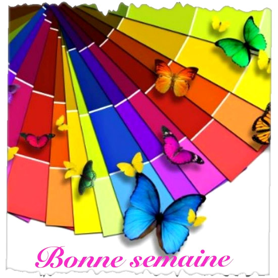 bonne-semaine_014.jpg