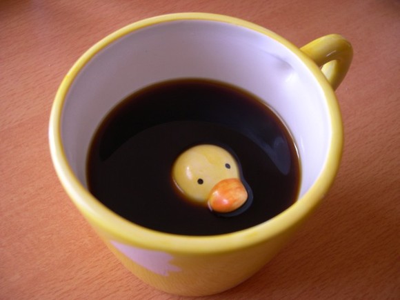 Canard_noy_.jpg
