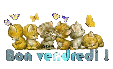 bon-vendredi-chats.gif