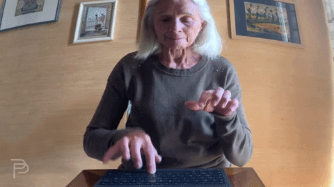 giphy.gif