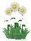 20697_a696d.gif