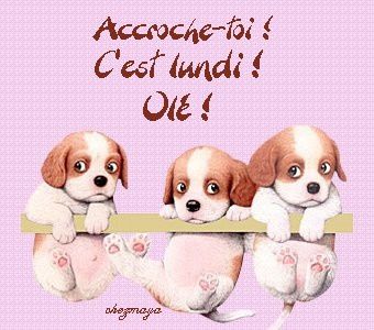 lundi.jpg