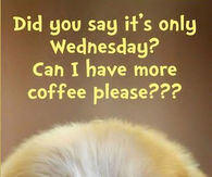 231155-Did-You-Say-Its-Only-Wednesday-Can-I-Have-More-Coffee.jpg