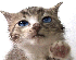 egy4quzd.gif