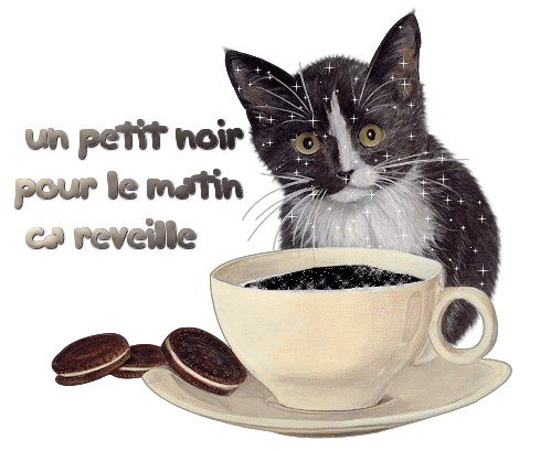 93293624_o.gif