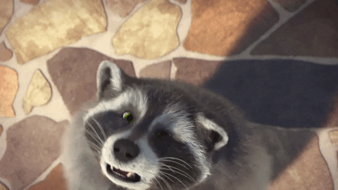 giphy.gif