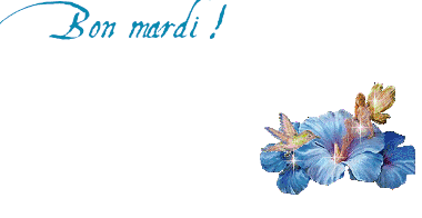x_3cd54bf4.gif