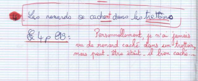 sacre-renard.jpg